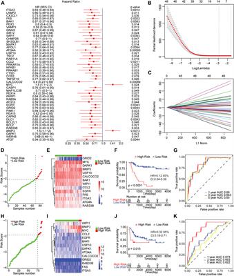 Prognostic Signature of Osteosarcoma Based on 14 Autophagy-Related Genes